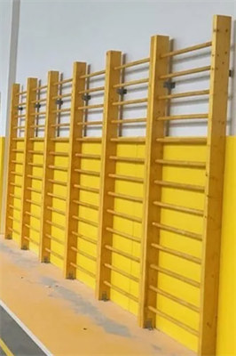 Стенка гимнастическая 3,0 х 2,6 м. перекладины береза 0282026