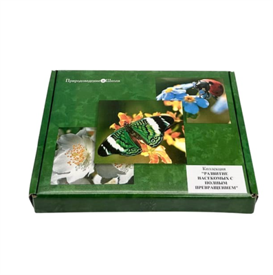 Коллекция Развитие насекомых с полным превращением c5hzzTd7h5LwhLDtEy2Fs1