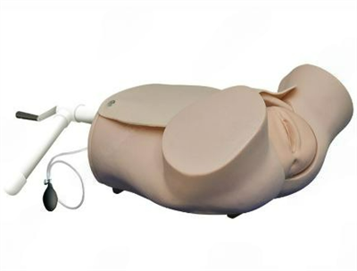 Тренажер роженицы с плодом (нижняя часть торса) 0281813