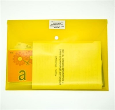 Модель-аппликация Неполное доминирование и взаимодействие генов 0283096599733