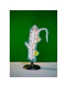 Модель гидры 01862