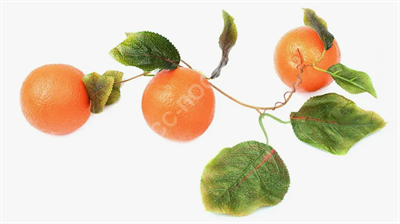 Ветка муляжей "Апельсин" 025973