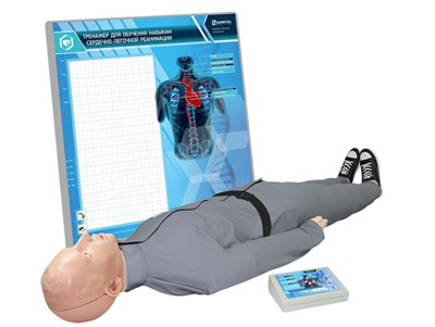 "Александр М-08" тренажер-манекен взрослого пострадавшего для отработки приемов сердечно-легочной реанимации (голова, туловище, конечности) с контроллером и настенным табло 0280187