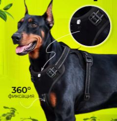 Шлейка Для Собак и  Мелких Средних Крупных Пород cCRrqHLthfNkm8ZxsuZd12