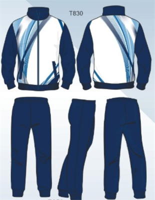 Костюм спортивный Летний gNXi83YRhXu-UdGwfvPPu1