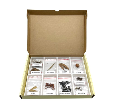 Коллекция Семена и плоды (с раздаточным материалом) QnzLx-ALgxTtiwwahtqrC1