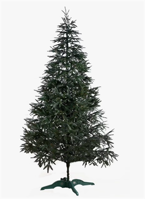 Ель Альпийская 210 0283096159 - фото 1433056