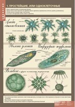 БИОЛОГИЯ 7 кл. Животные. 02830603