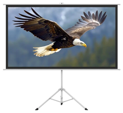 150" Экран для проектора FwOVOjyghzemIuMqANAwb2