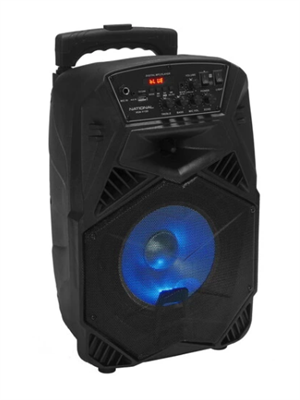 Портативная аудиосистема National NSM-V100, черный 02830964101