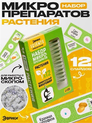Набор для опытов «Набор микропрепаратов», растения 0283096600145
