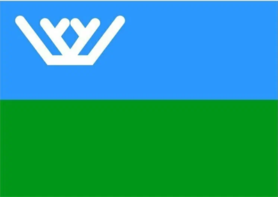 Флаг Региональный 1000х1500 мм. Двухсторонний. 028309180 - фото 1434349
