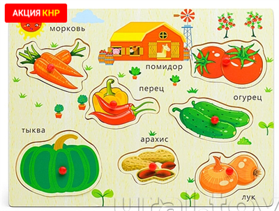 Пазл-вкладыш "Овощи" AktUxYZsgeAf5IlSp9oyP3