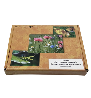 Гербарий Систематика растений. Высшие споровые и семенные (раздаточный) MOx8lohOiOpTR1IbWPSmJ3