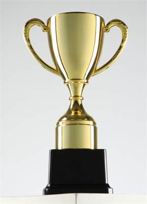 Кубок 053A, наградная фигура, золото, подставка пластик, 23 × 14 × 8.5 см. HyDQRkvlijVVYxnOLqk6z2