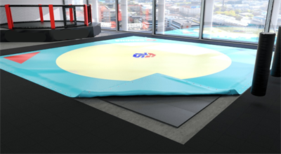 Ковер для самбо 11х11м   маты +покрытие (велькро) 0283095428