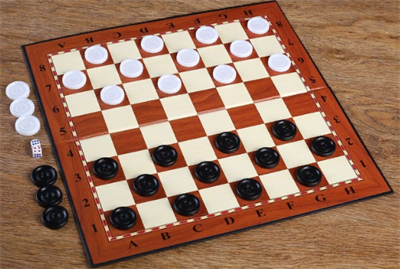 Шашки "Сартон", складное поле 33 х 33 см, шашки d-2.5 см 026694