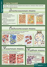 БИОЛОГИЯ 8-9 кл. Человек. 02830604