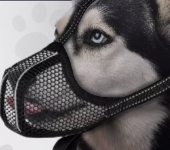 Намордник для собак сетка W4ez11QBguhEjsbtyVwKy2