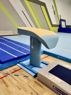 Соревновательный прыжковый конь 027144