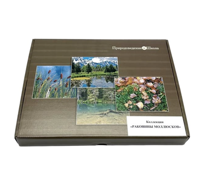 Коллекция Раковины моллюсков hYdYiRnahCQHcCnlfE4KM1