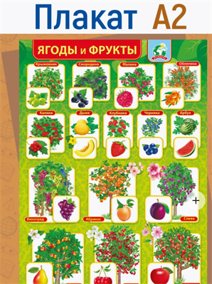 Плакат настенный, ягоды и фрукты, формат: А2 tT-P73WogfRxrgpyH7KzI1