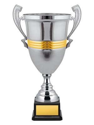 Кубок престижный 025896