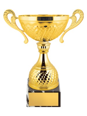 Кубок расширенной серии 025914