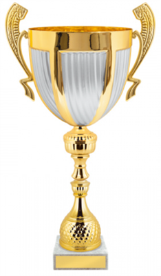 Кубок престижный 025868