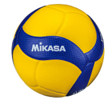 Мяч волейбольный MIKASA V300W 026828