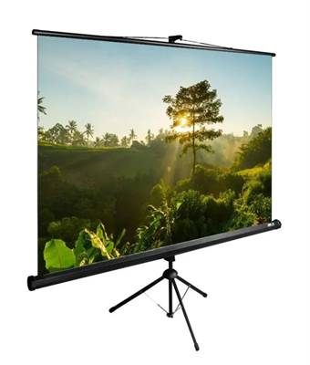 Экран Cactus TriExpert CS-PSTE-200x200-BK, 200х200 см, 1:1, напольный черный oz0ynPLggeozswQ7JQcUE3