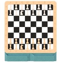 Настенная игра "Шахматы" (в комплекте есть фигуры шашек) 0281751