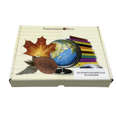 Коллекция Палеонтологическая eAu0yavAgsOL1wlHCFTUA3