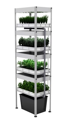 Гидропонная установка с системой подтопления 0282808