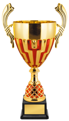 Кубок наградной 025858