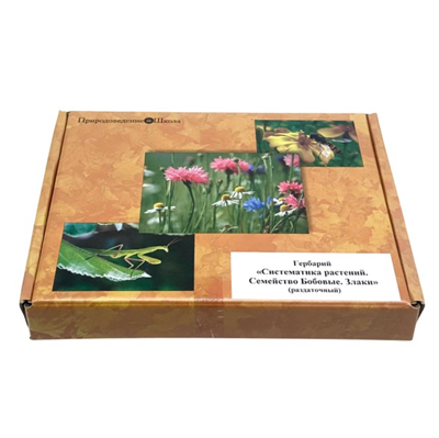 Гербарий Систематика растений. Семейство Бобовые. Злаки (раздаточный) E1URD3pwiFHGs1ucPPPLP2