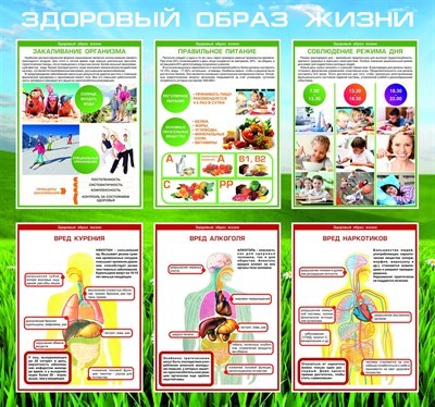 Стенд Здоровый образ жизни размер 800 х 750 пластик 3 мм ЗОЖ3