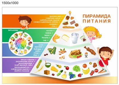Стенд Пирамида питания 1500 х 1000 пластик 3мм ПП1