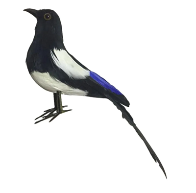 Чучело сорока mUMSvG3pjF0eqrWiQ4rQc2