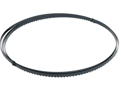 Полотно ленточное по дереву 2560x10x0.5 мм zeDulWb6iCYZzGDGjSDoy3