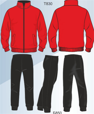 Спортивный костюм  мужской - 100% полиэстер Mui8S9PbgBTpmtGg7Mtf-2