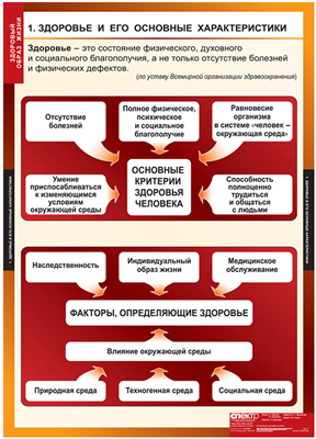 Учебный альбом "Здоровый образ жизни" 02829640 - фото 353033
