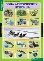 ОКРУЖАЮЩИЙ МИР 4 КЛ. 02830456 - фото 353214
