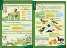 Учебный альбом «10-11 кл. Эволюционное учение» 01854 - фото 353293