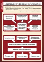 Стенд "Здоровье и его основные характеристики"  формат А2 -594 х 420,  пластик 3мм П03-01
