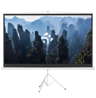 100" Экран для проектора DEXP TMD-100 02830965268