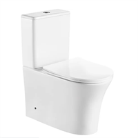 Напольный унитаз-компакт Cerutti SPA adige ct безободковый сиденье с микролифтом 7836 028309369