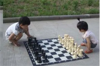 Уличные шахматы с синтетической доской 02829126