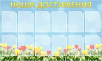 Стенд Наши достижения 1500 х 900 пластик 3мм, карманы А4-12шт. (Арт.НД17) НД17