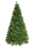 Ель Иркутская 210 0283096164